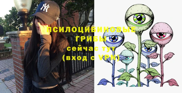 прущие крисы Белоозёрский