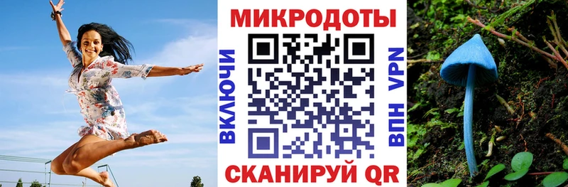Псилоцибиновые грибы Psilocybe Купить где Жуков